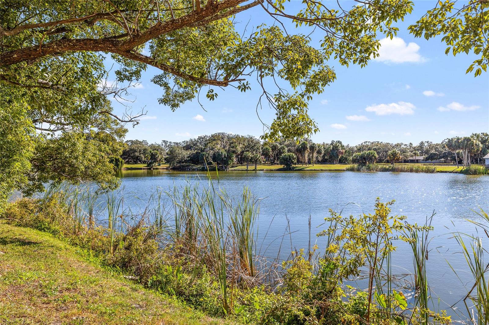 Image 38 of 39 For 7415 Lake Forest Circle