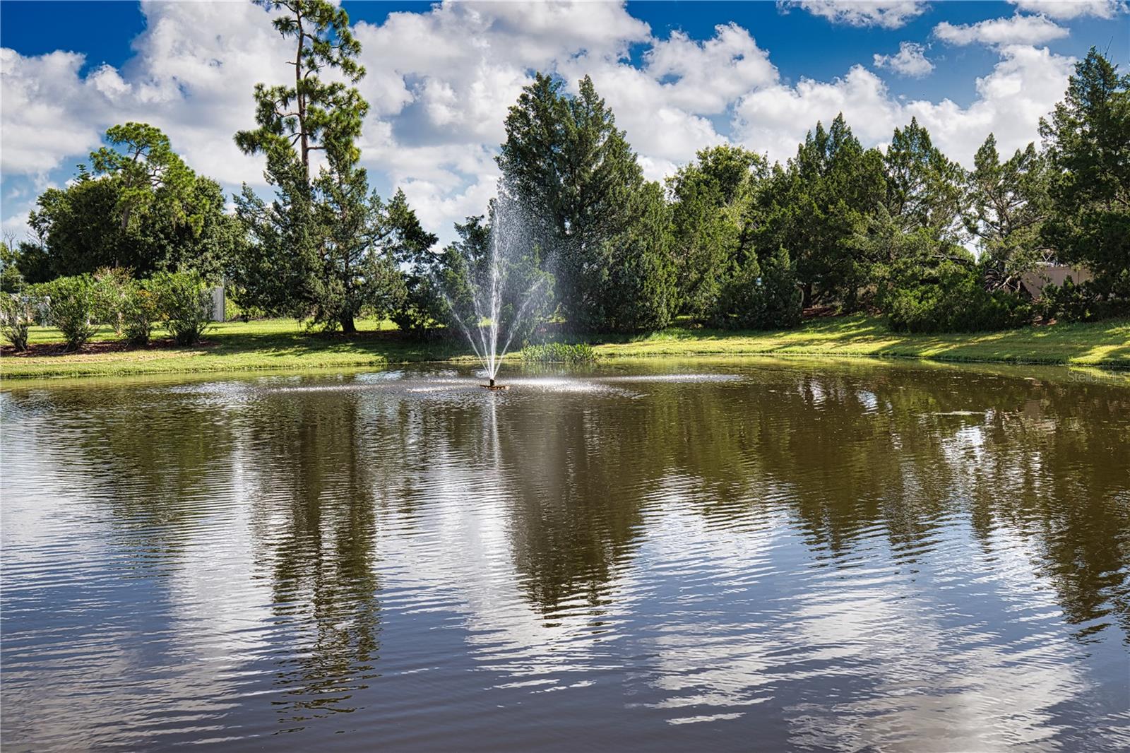 Image 51 of 63 For 670 Alvarado