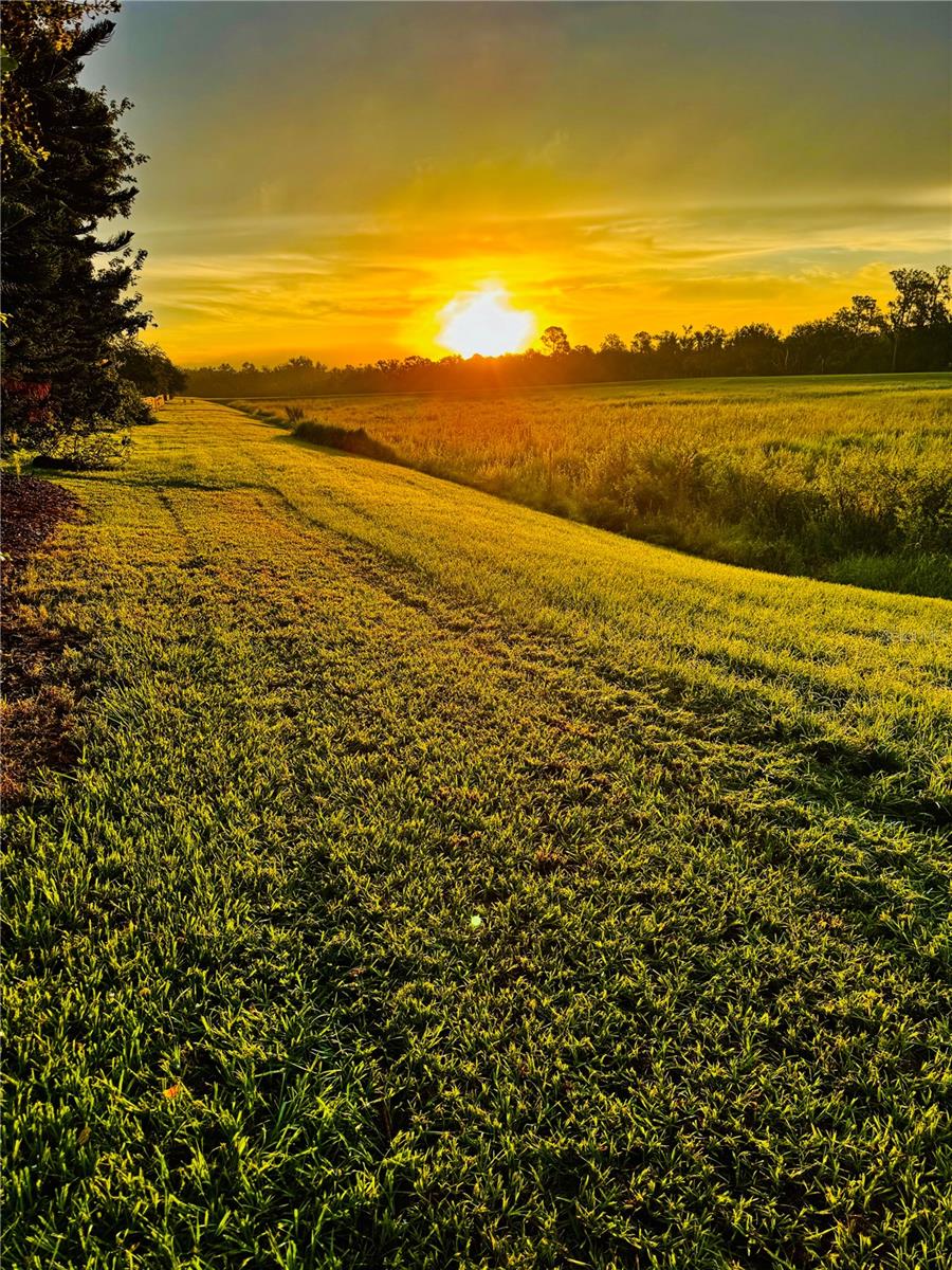 Image 73 of 74 For 6008 Watercolor Drive