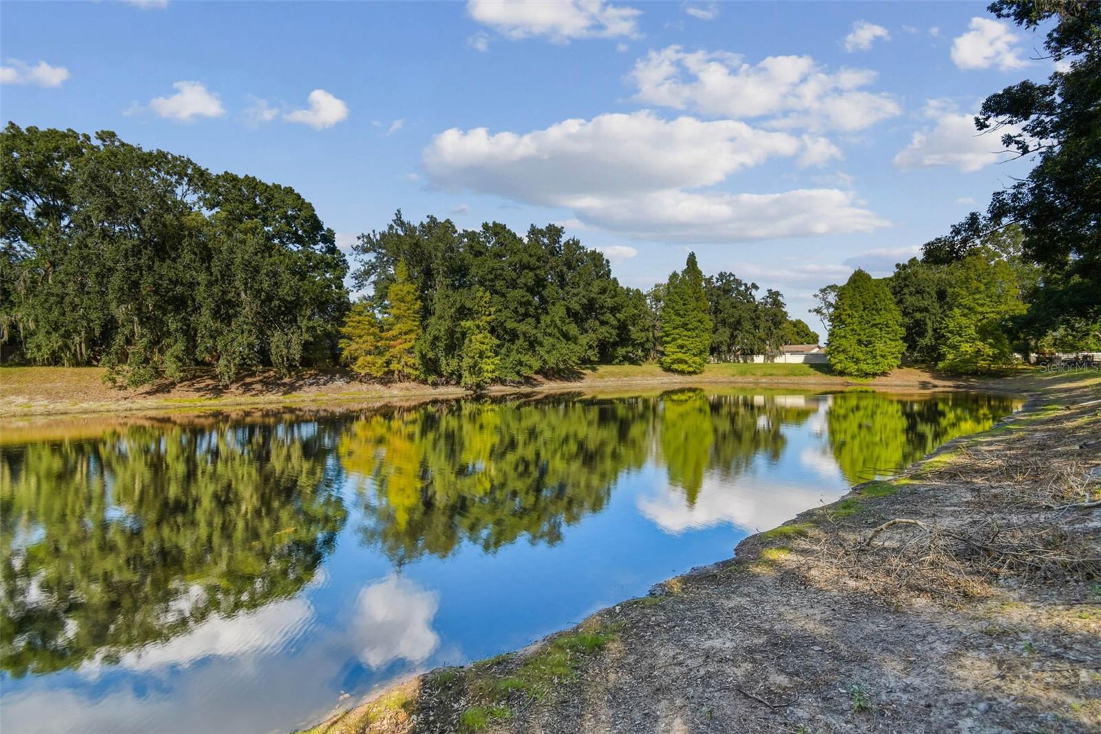 Image 82 of 86 For 1913 Floresta View Drive