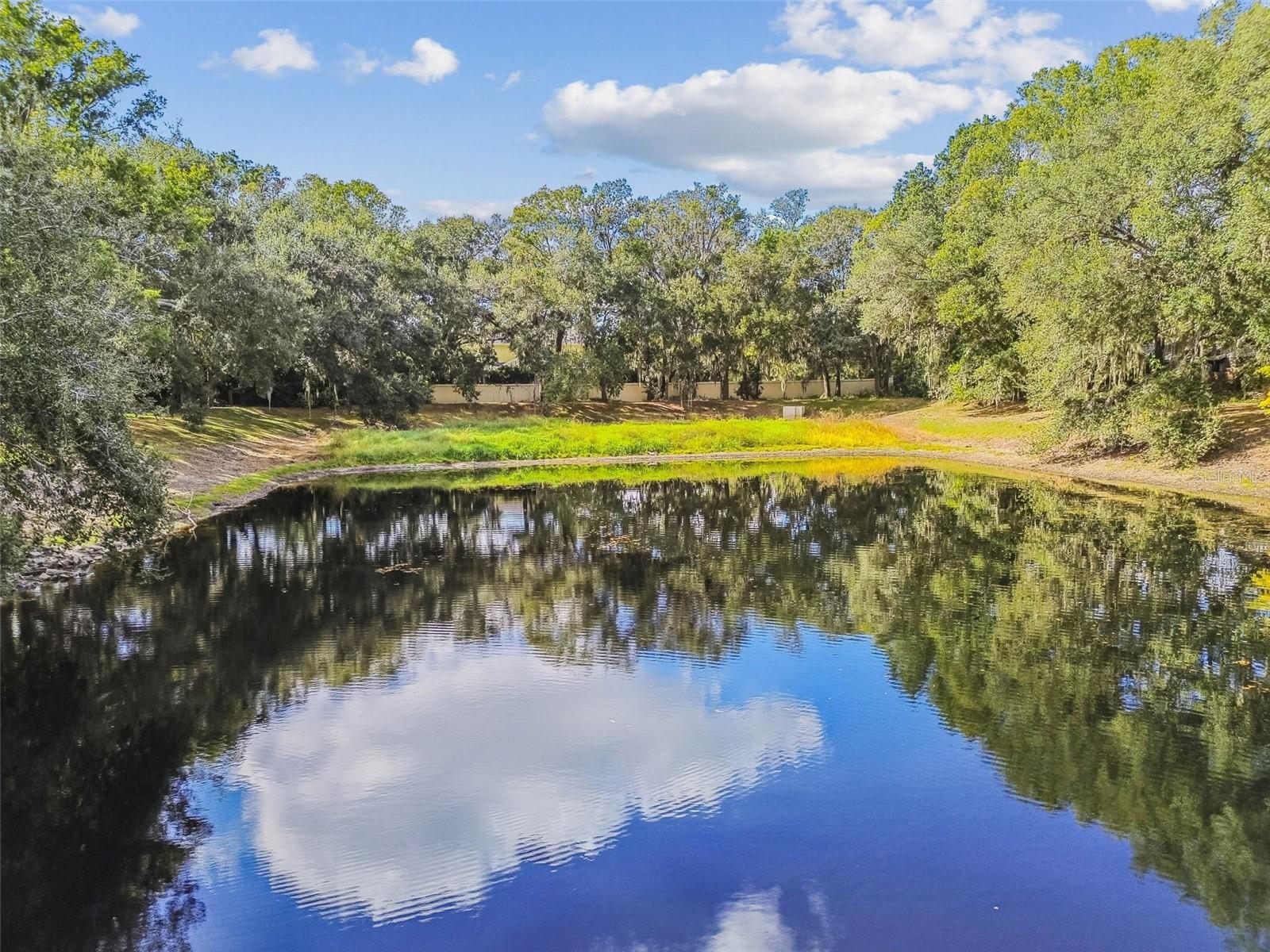 Image 83 of 86 For 1913 Floresta View Drive