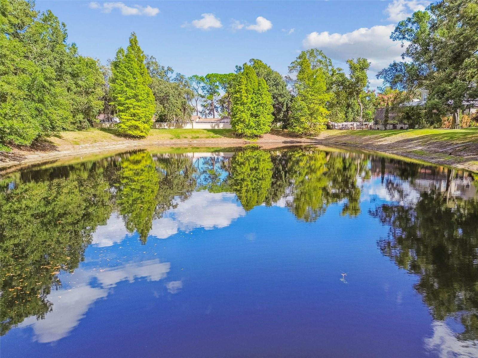 Image 84 of 86 For 1913 Floresta View Drive