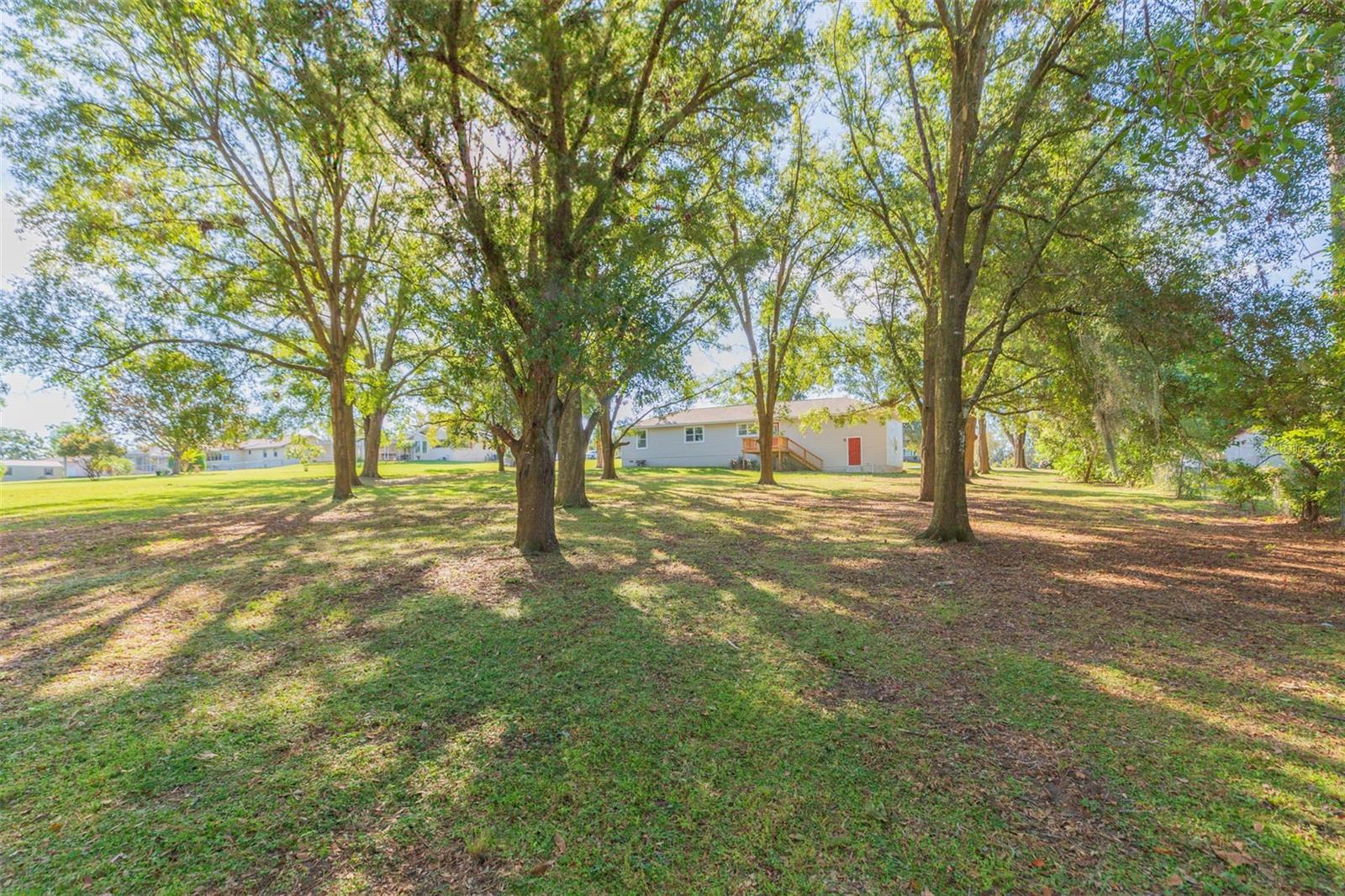 Image 41 of 56 For 37321 Orange Row Lane