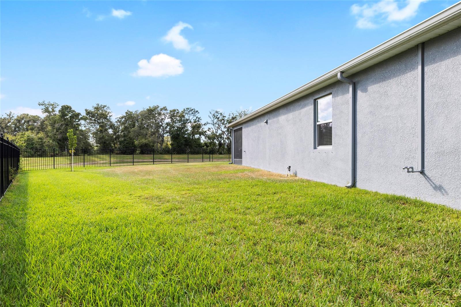 Image 41 of 49 For 10736 Whitland Grove Drive