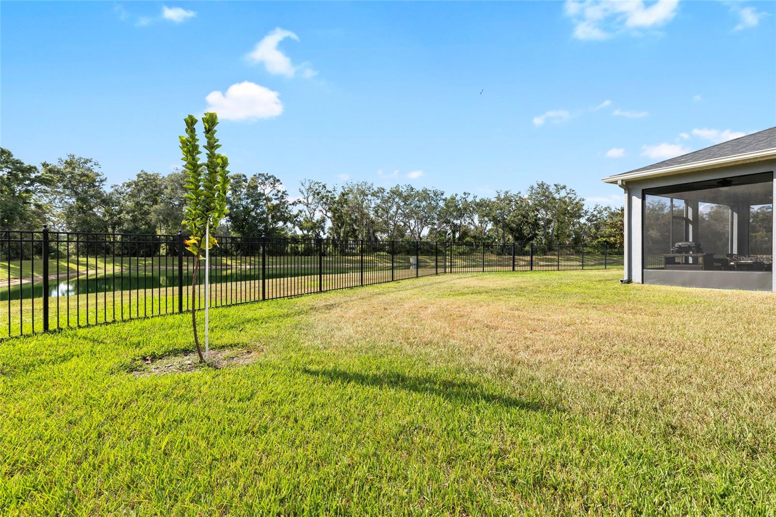 Image 42 of 49 For 10736 Whitland Grove Drive