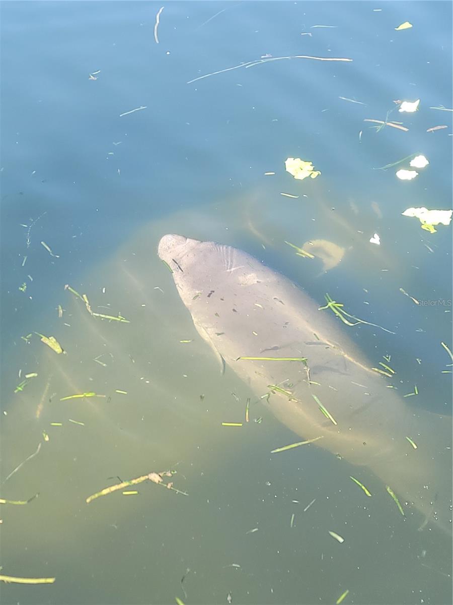 Image 16 of 19 For 773 9th Street E