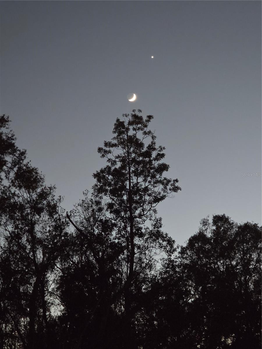 Image 19 of 19 For 773 9th Street E