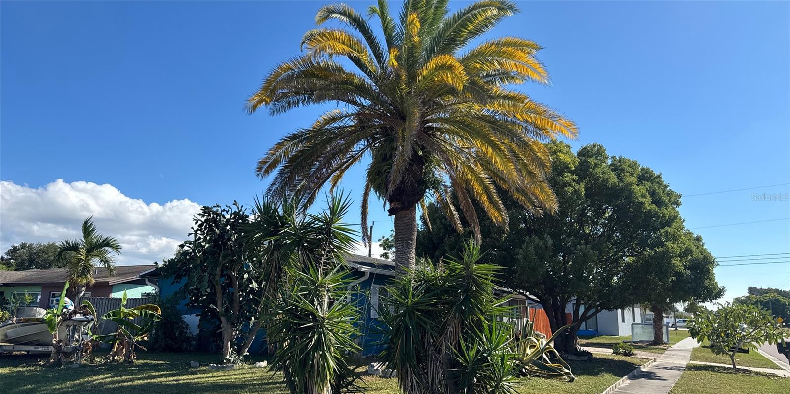 Image 5 of 44 For 7851 84th Lane