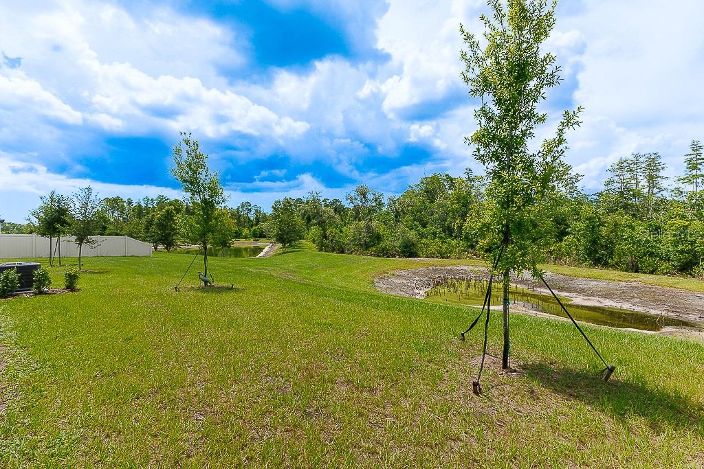 Image 48 of 77 For 10367 Banyan Breeze Boulevard