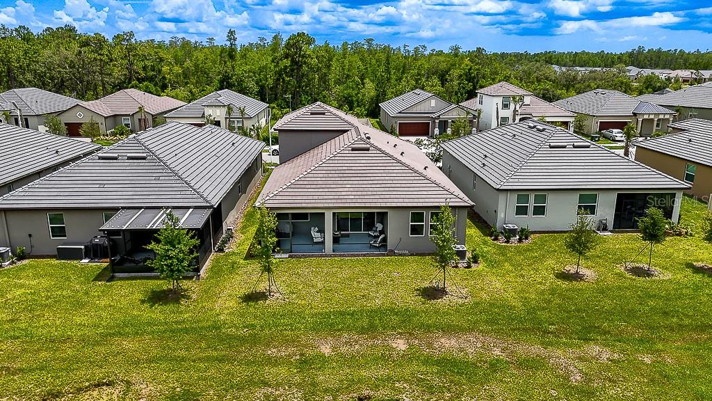 Image 50 of 77 For 10367 Banyan Breeze Boulevard