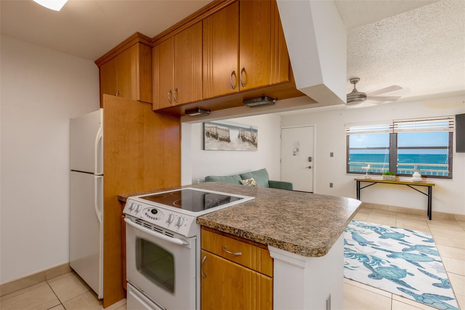 Image 10 of 25 For 8470 Gulf Boulevard 406