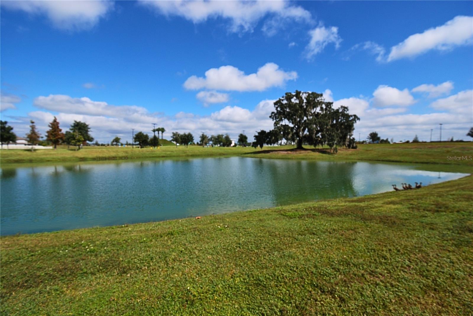 Image 23 of 29 For 10535 Penny Gale Loop