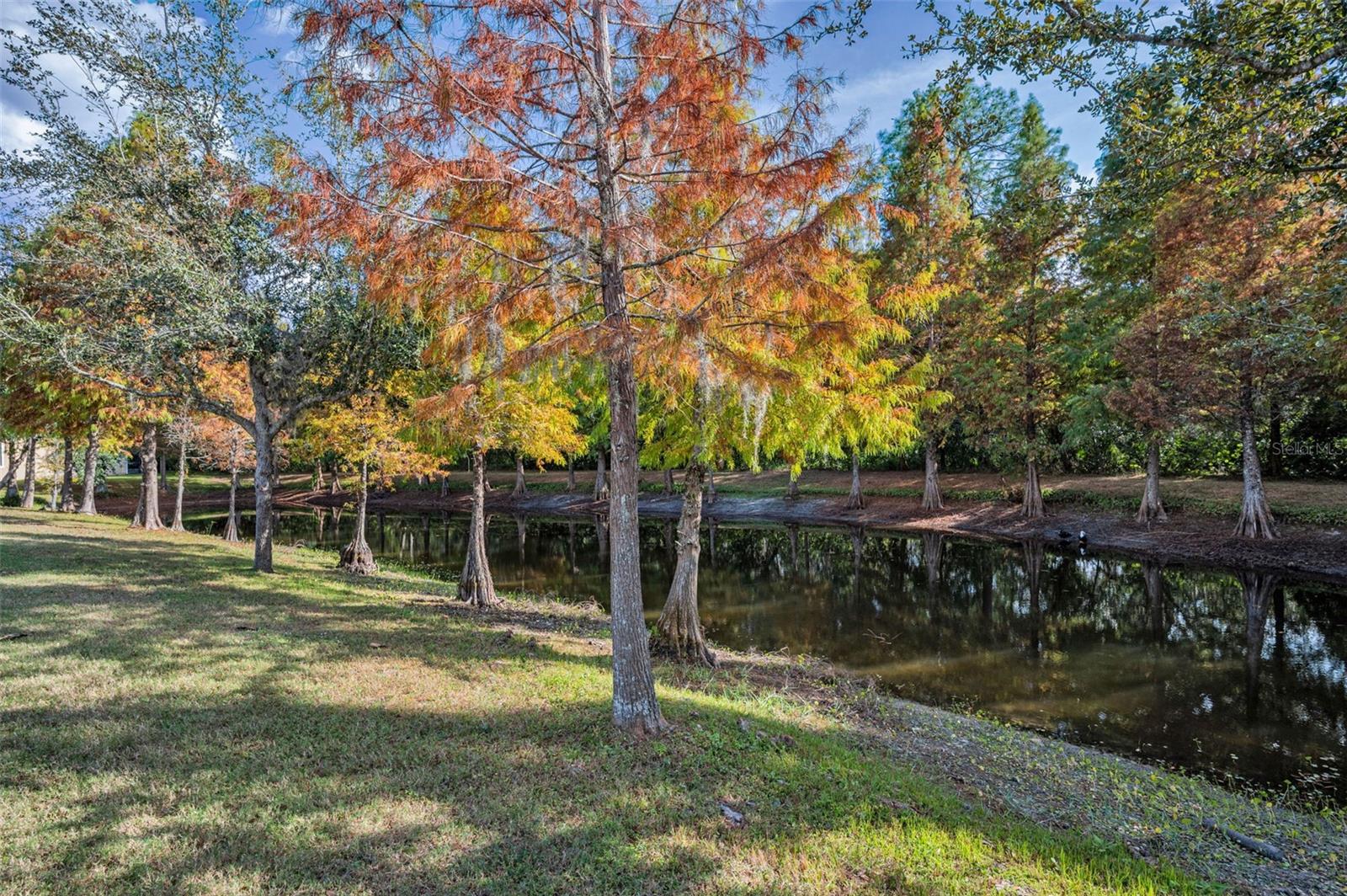 Image 71 of 73 For 6942 Rocky Canyon Way