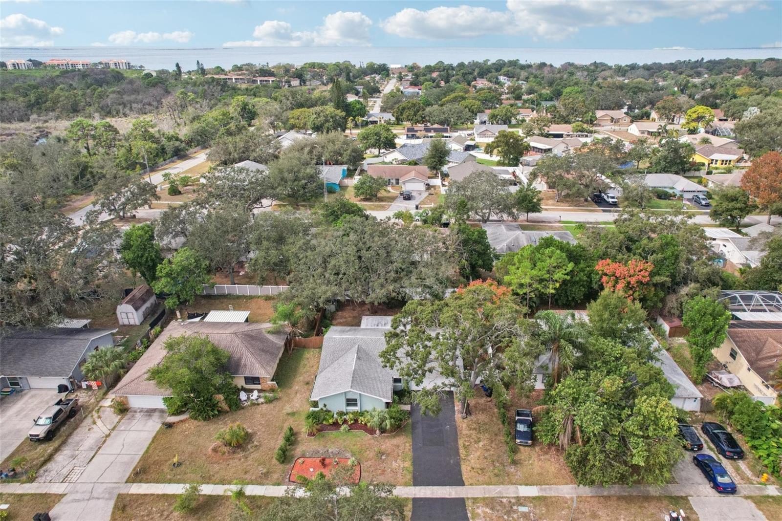 Image 50 of 62 For 1118 Carlton Road