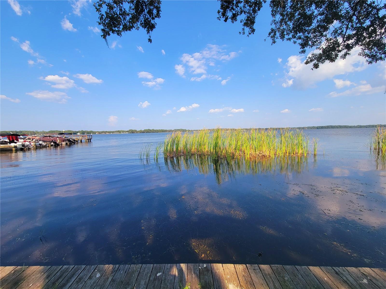 Image 3 of 29 For 90 Highland Avenue 1216