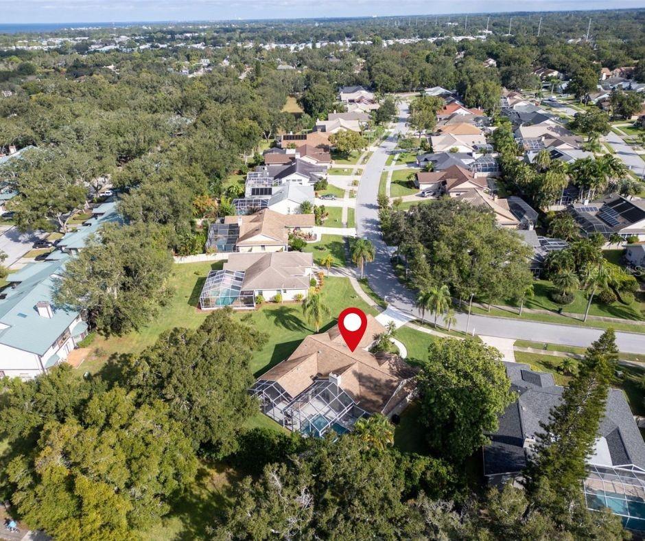 Image 41 of 52 For 1551 Mcauliffe Lane