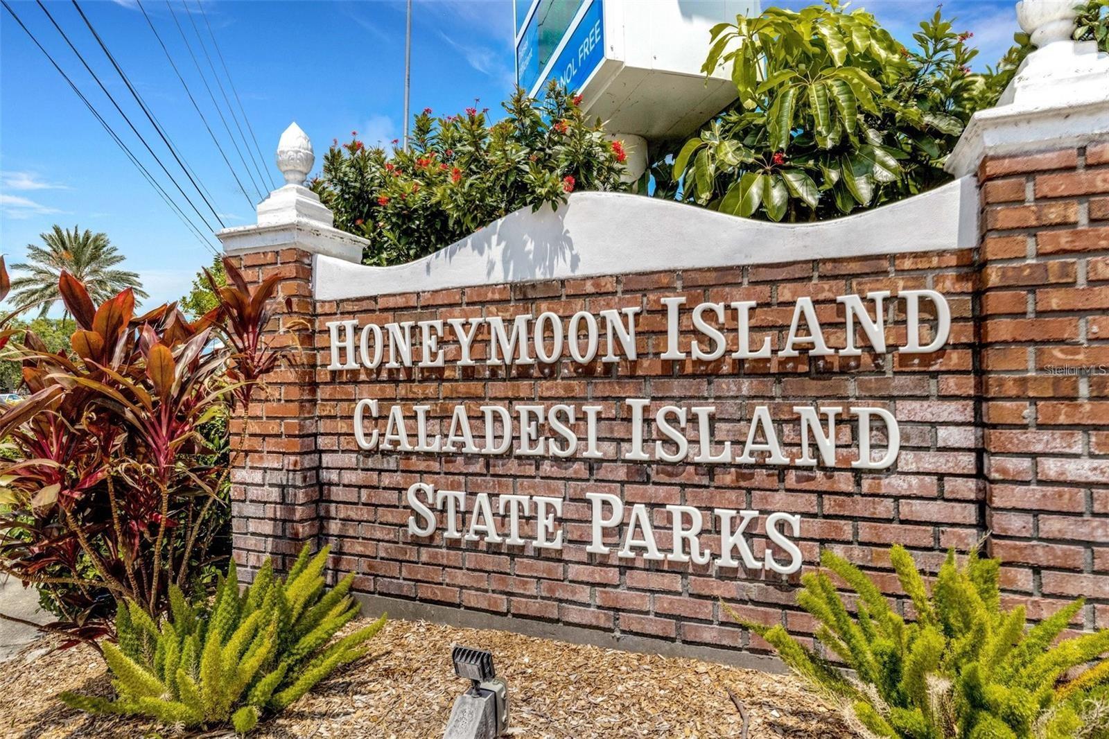 Image 49 of 52 For 1551 Mcauliffe Lane