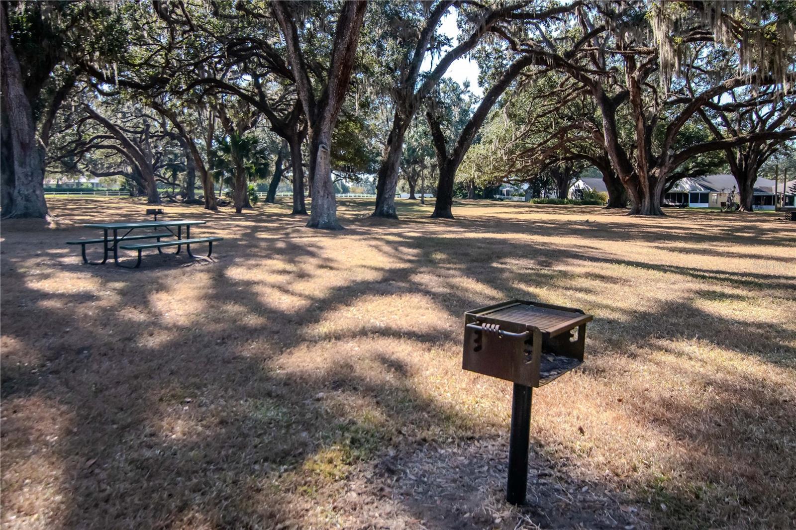 Image 63 of 77 For 5132 Whispering Leaf Trail