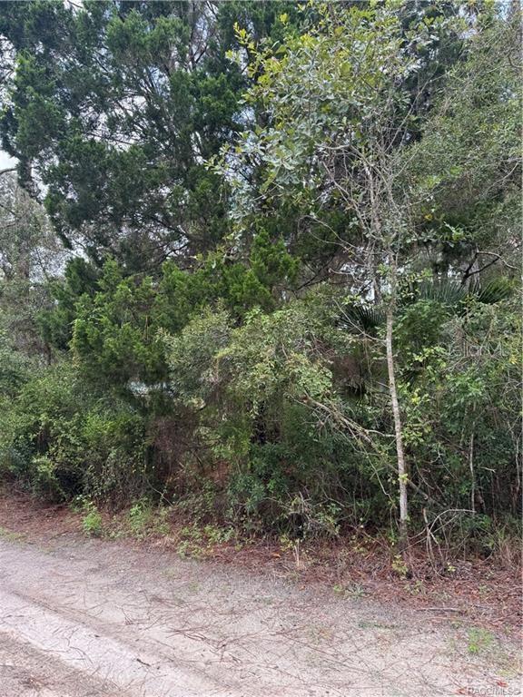 Image 2 of 14 For 2963 Oakland Terrace