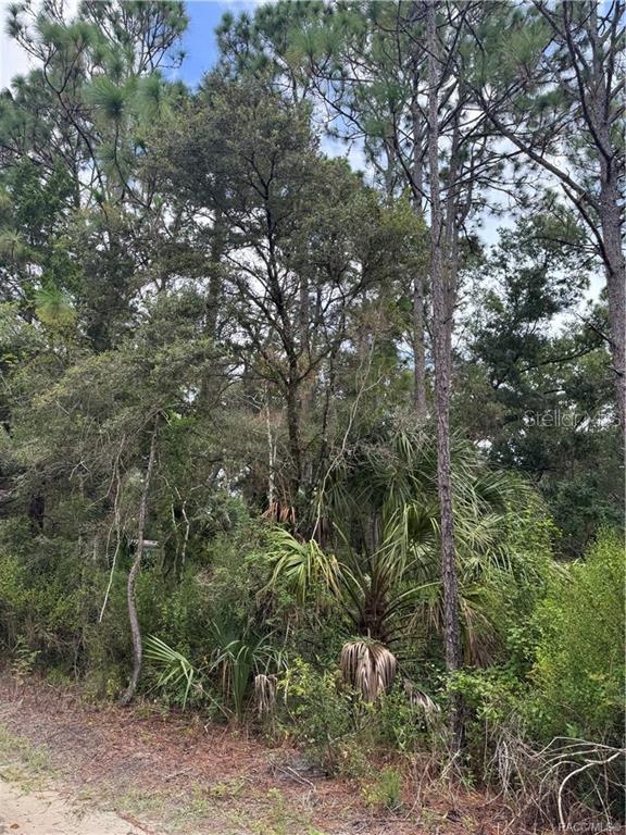 Image 3 of 14 For 2963 Oakland Terrace