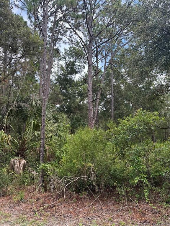 Image 4 of 14 For 2963 Oakland Terrace