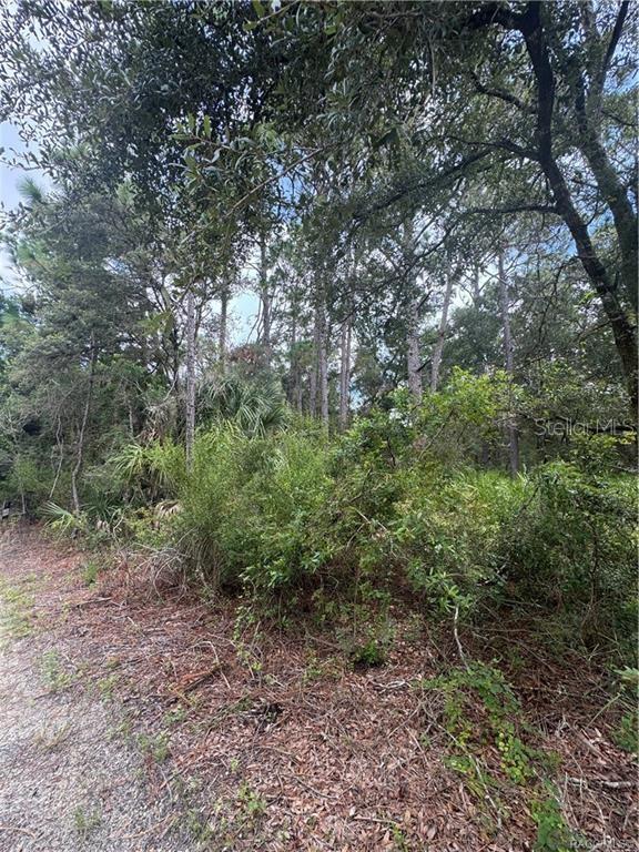 Image 5 of 14 For 2963 Oakland Terrace