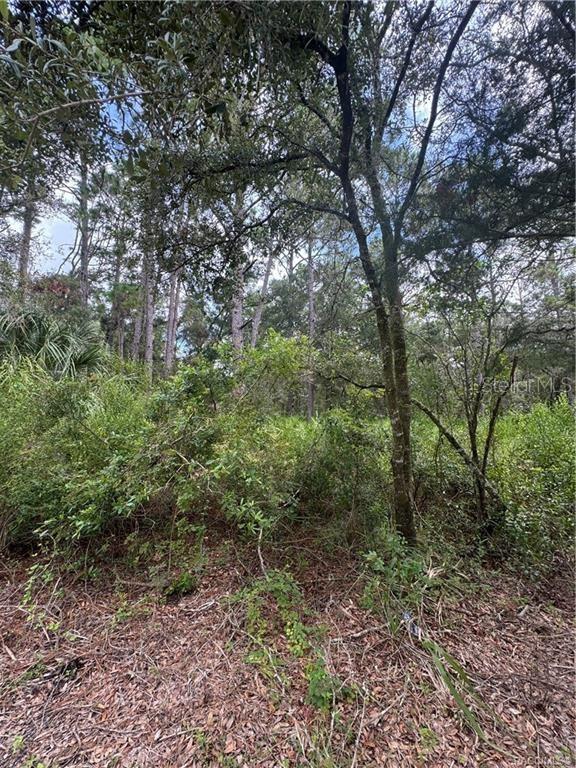 Image 6 of 14 For 2963 Oakland Terrace