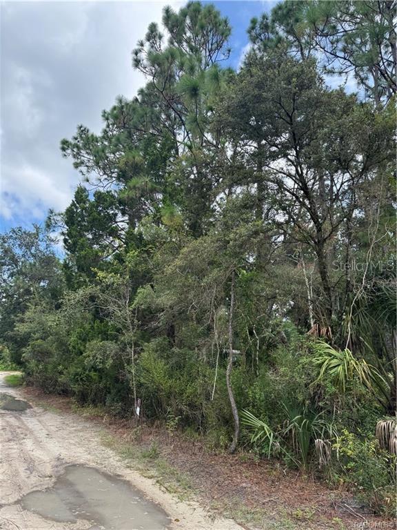 Image 7 of 14 For 2963 Oakland Terrace