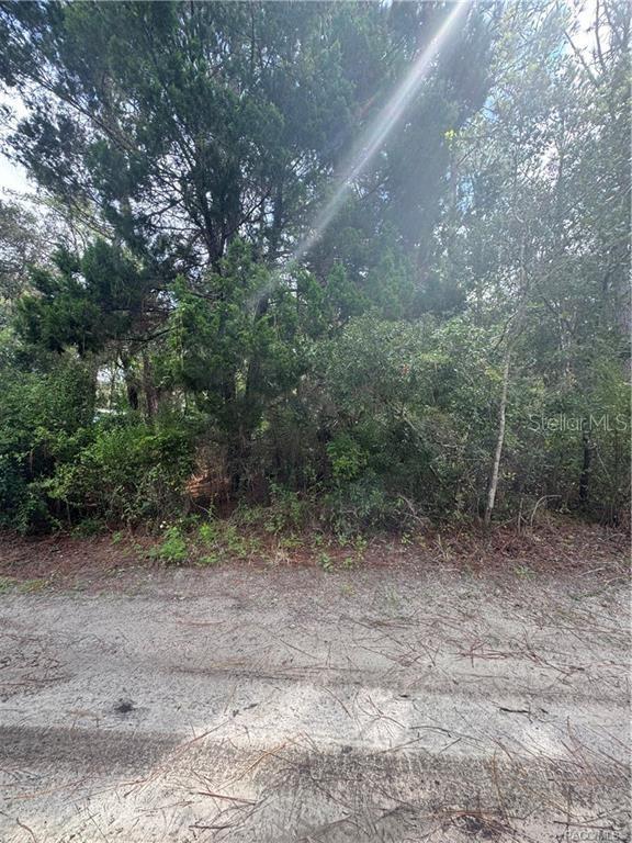 Image 8 of 14 For 2963 Oakland Terrace