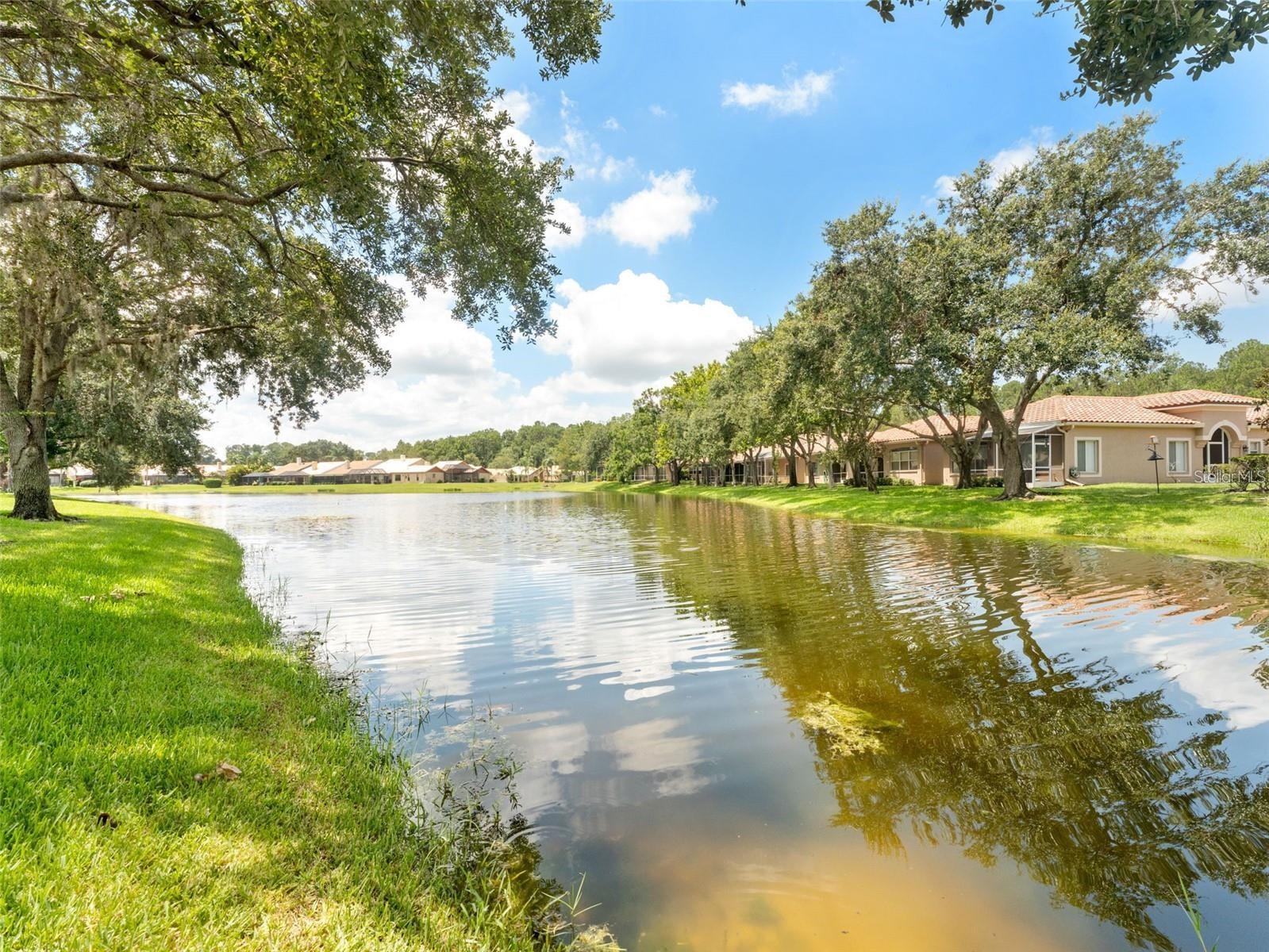 Image 42 of 58 For 3876 Timber Ridge Court