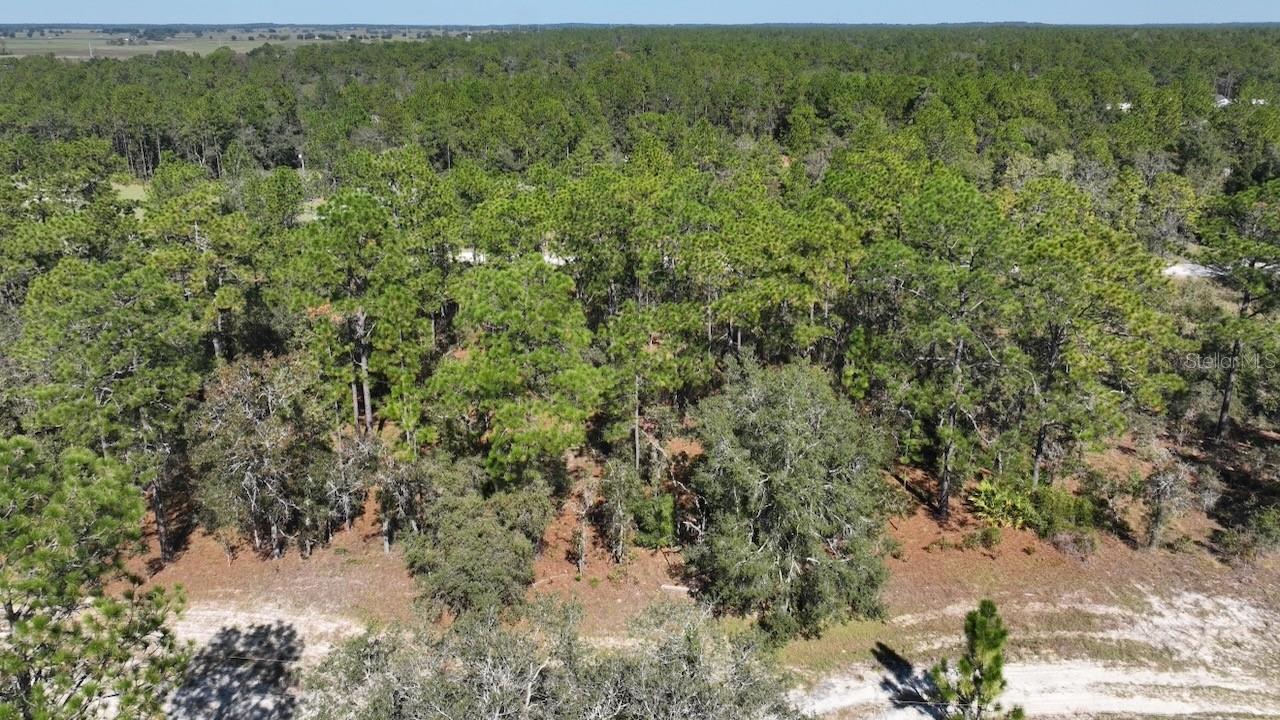 Image 14 of 14 For  89th Street 