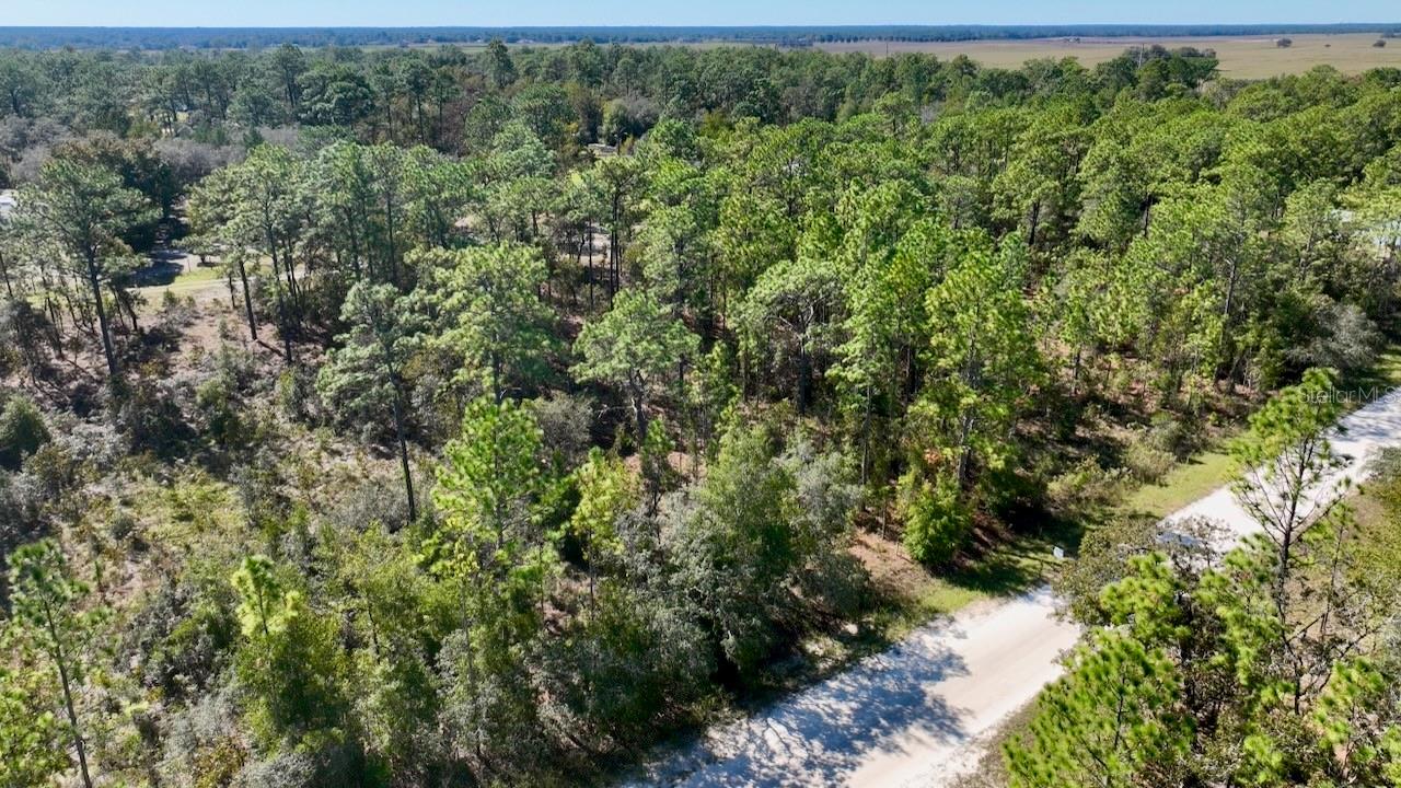 Image 9 of 14 For  89th Street 