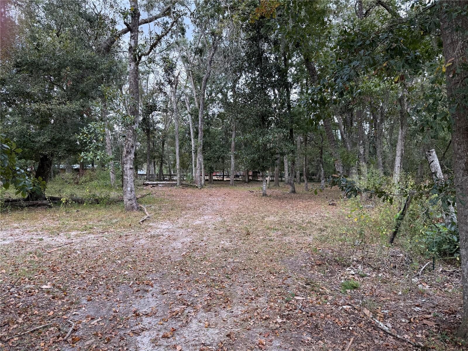 Image 35 of 42 For 13517 Citrus Way