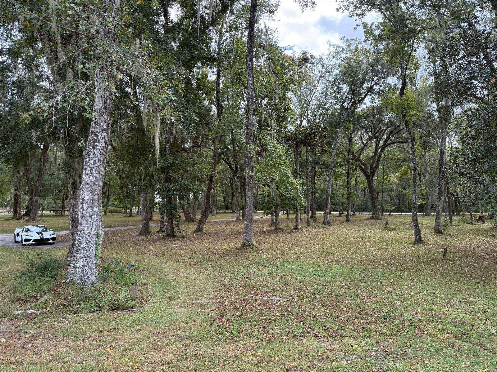 Image 37 of 42 For 13517 Citrus Way