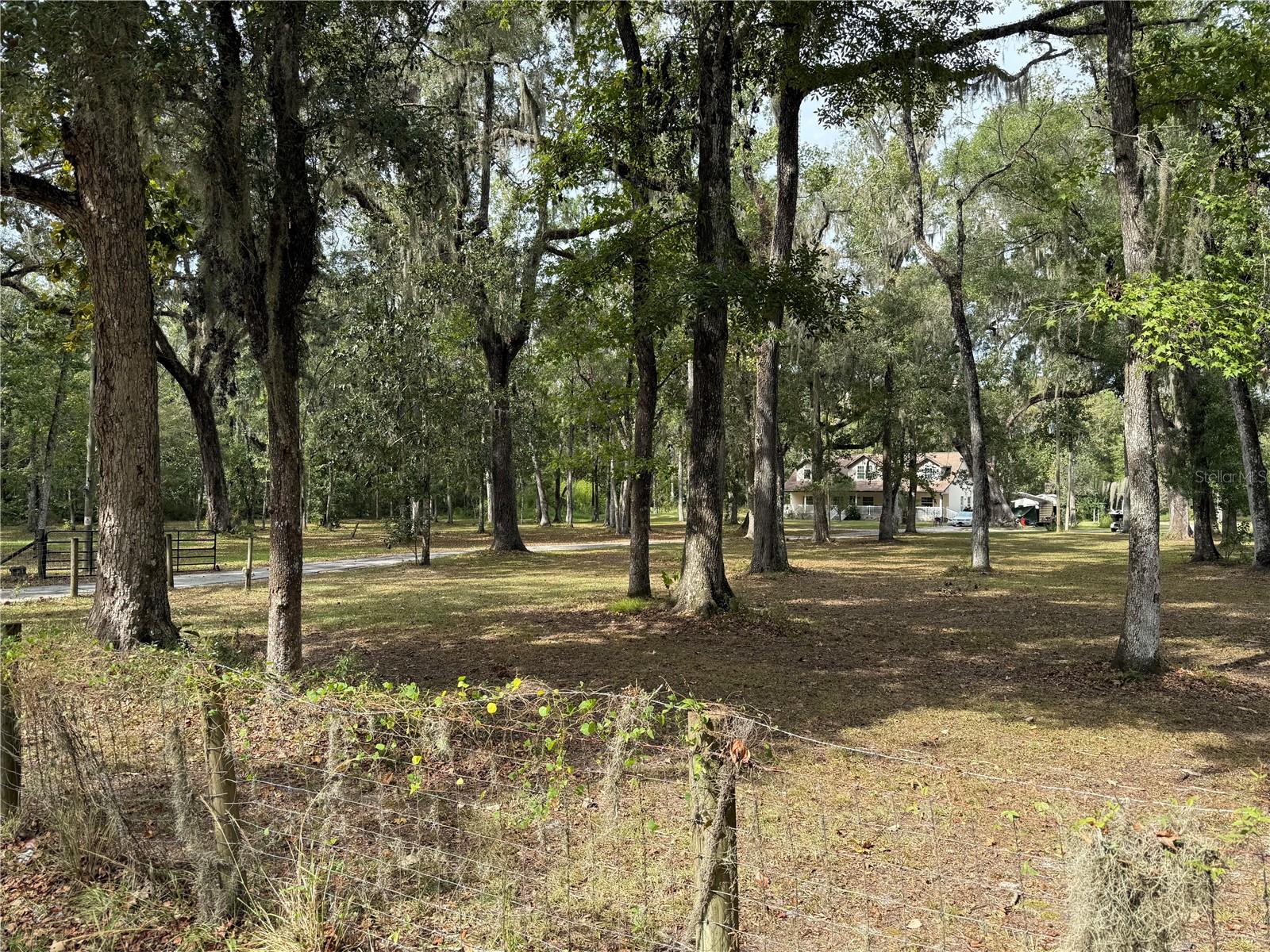 Image 39 of 42 For 13517 Citrus Way