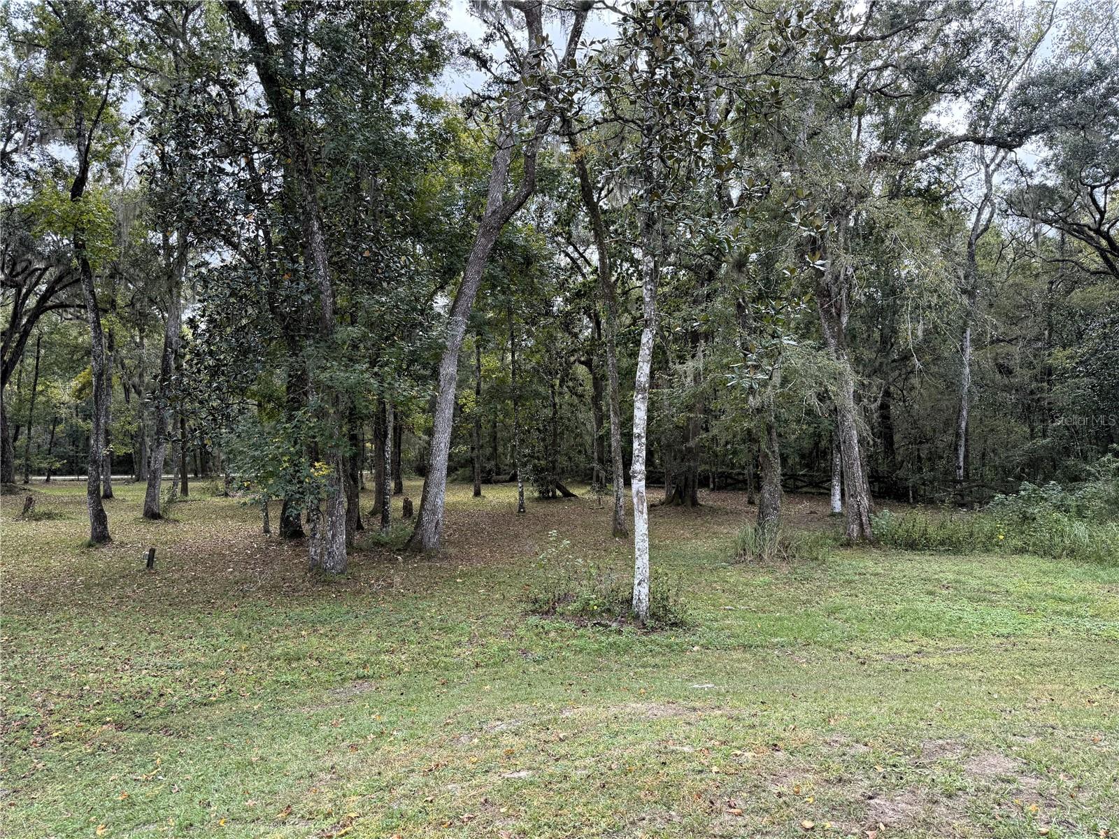 Image 40 of 42 For 13517 Citrus Way