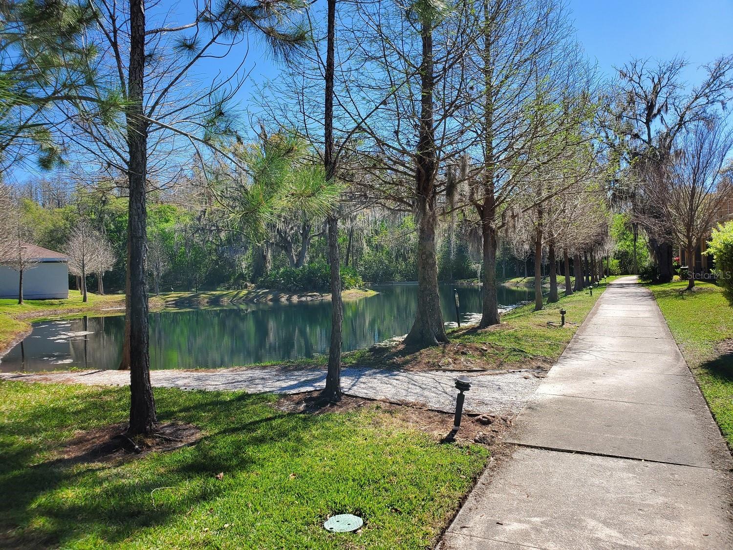 Listing photo id 13 for 8342 Pine River Road