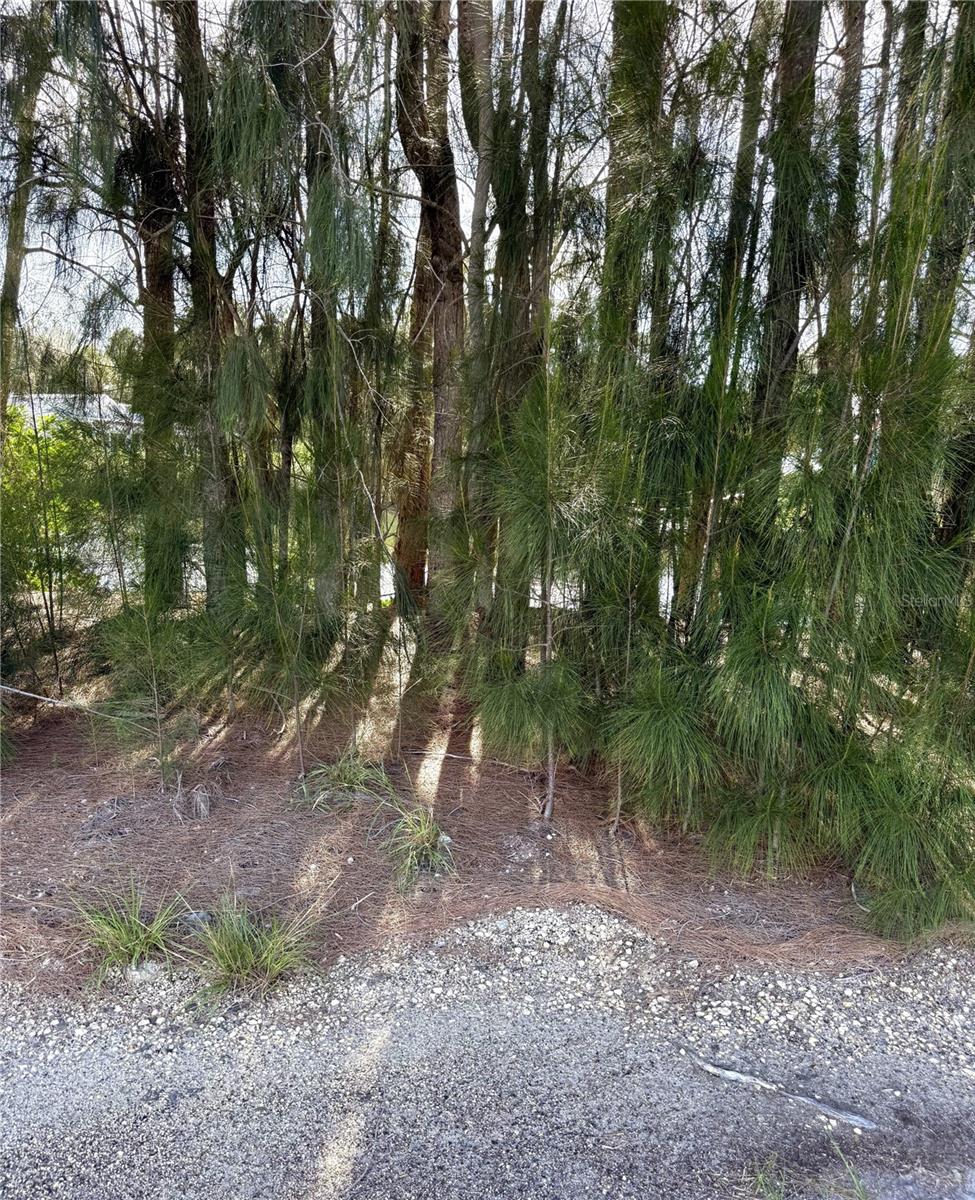 Details for 0 Jills Lane, ARIPEKA, FL 34679