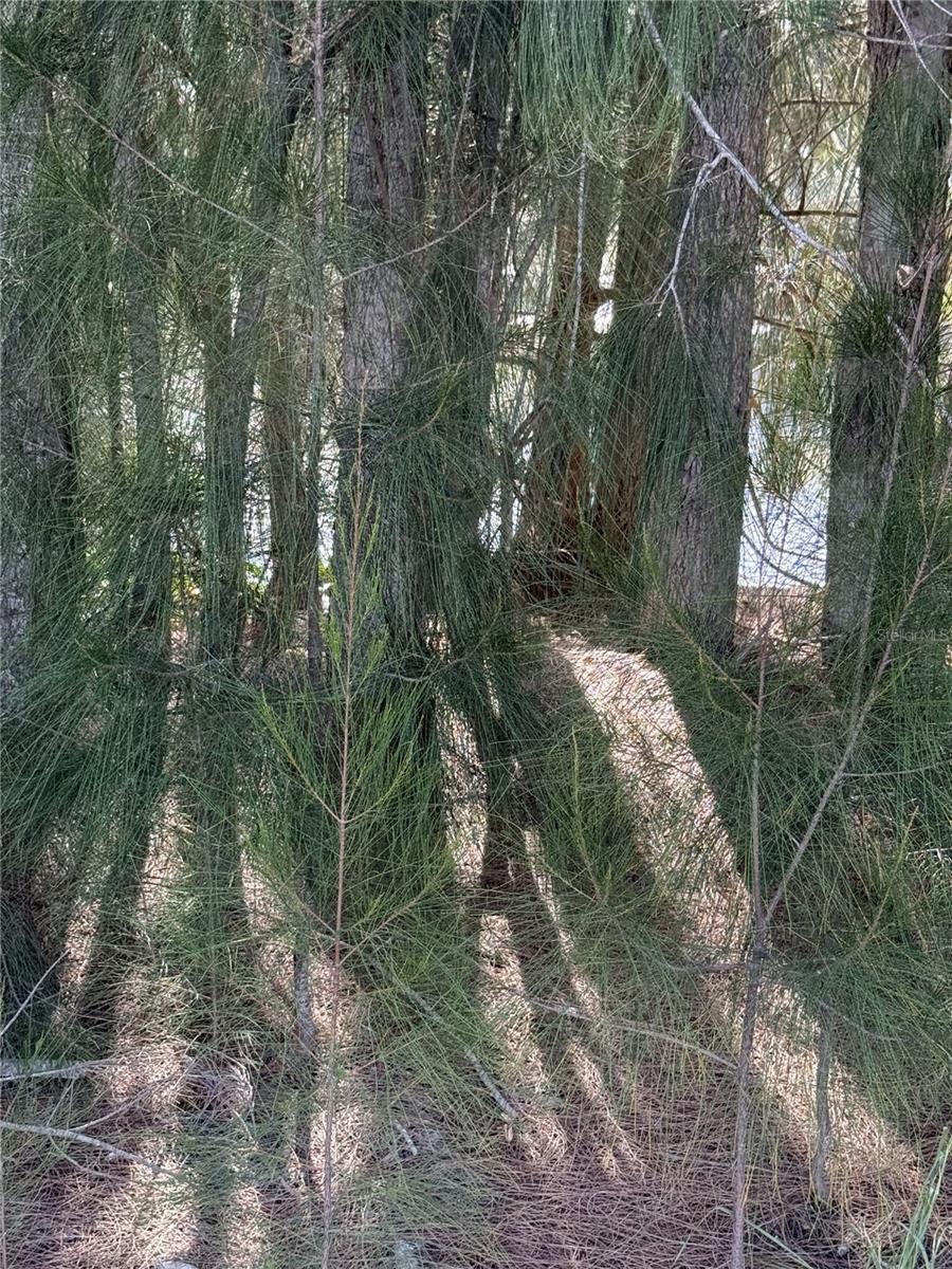 Image 2 of 5 For 0 Jills Lane