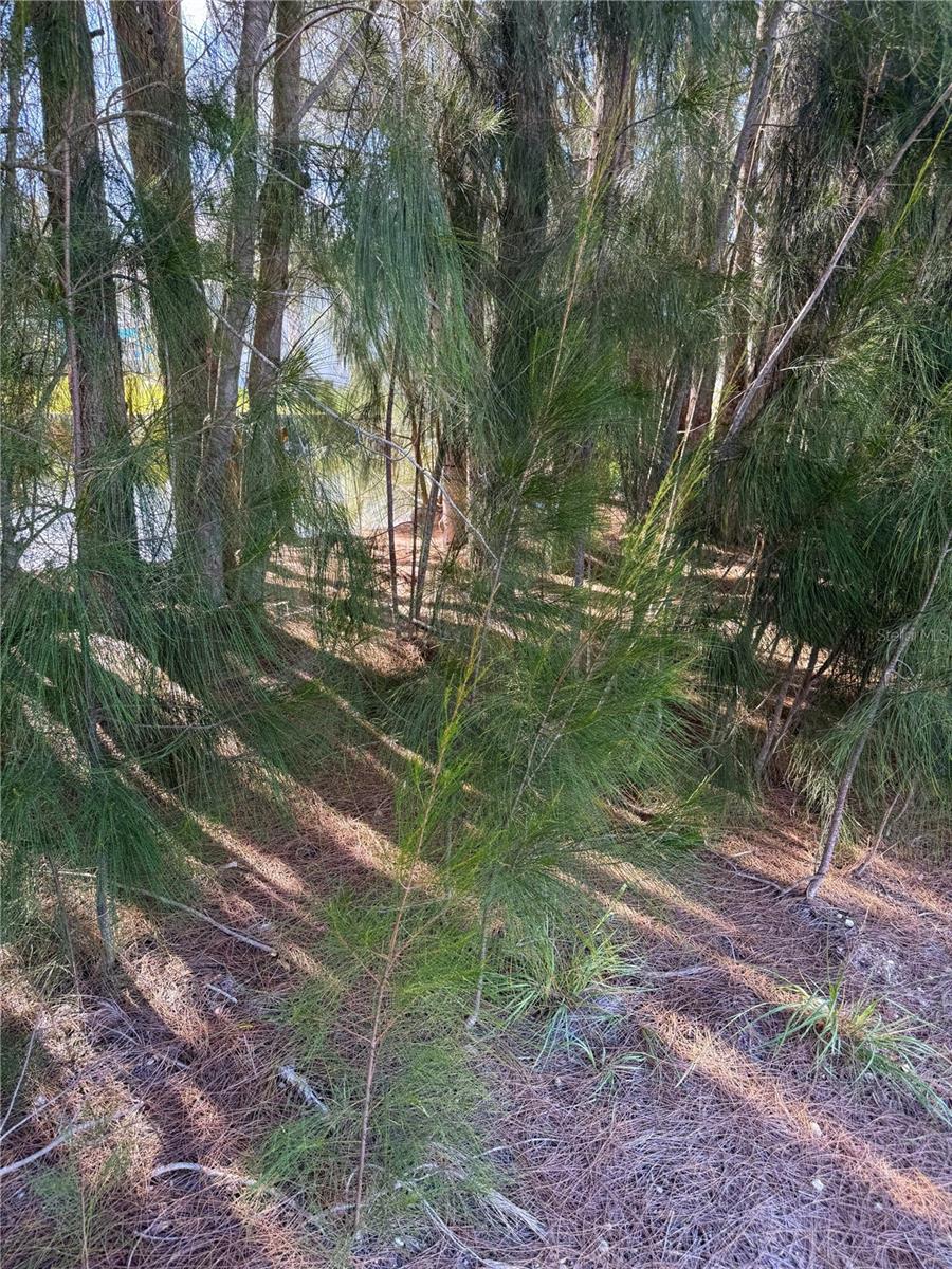 Image 3 of 5 For 0 Jills Lane