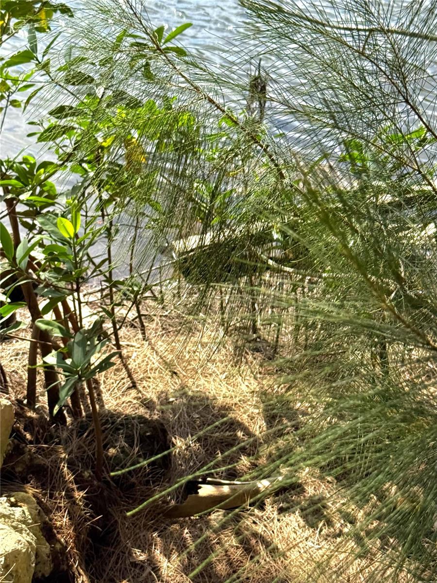 Image 4 of 5 For 0 Jills Lane