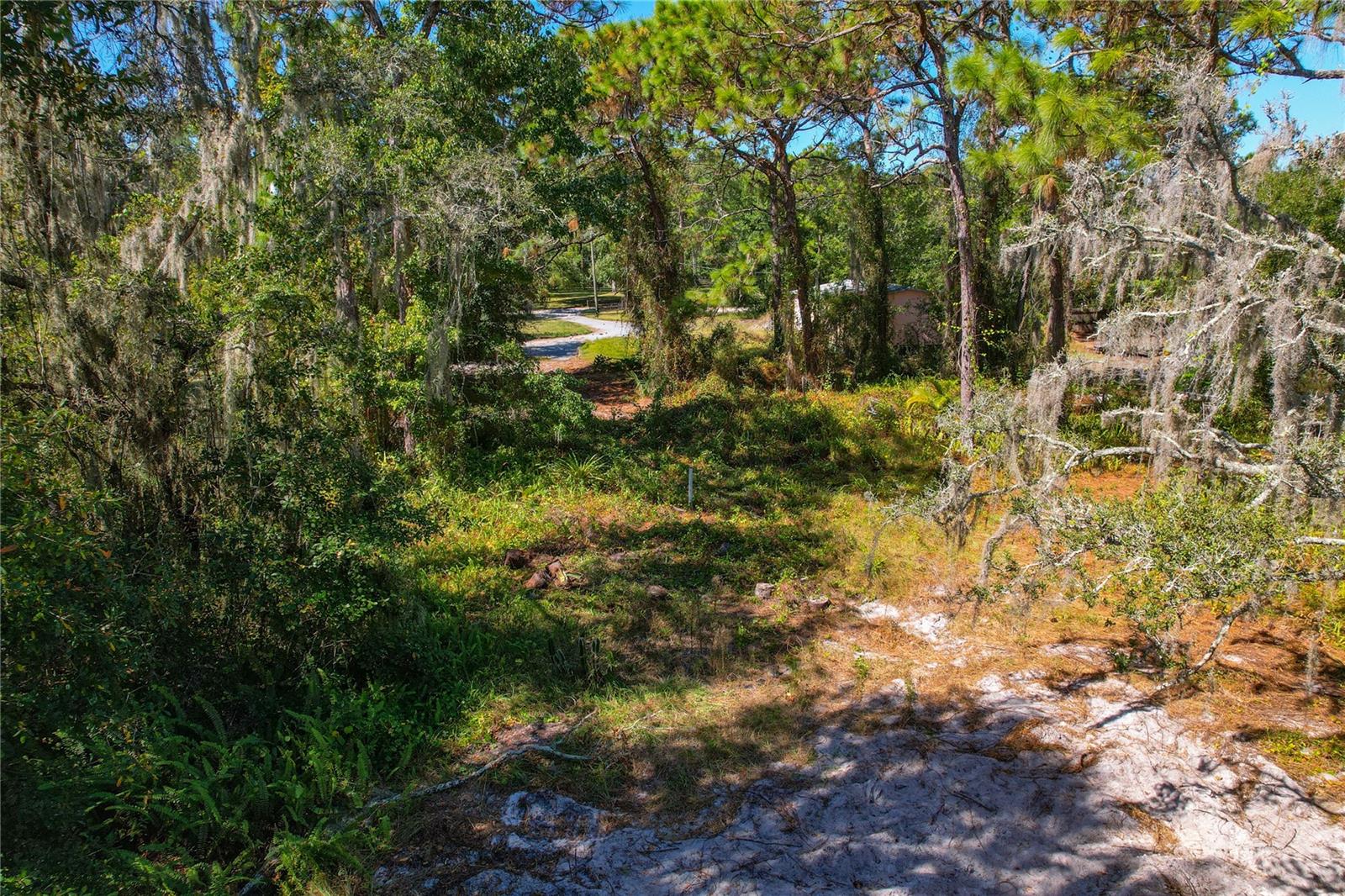 Image 17 of 18 For 1320 Jam Lane