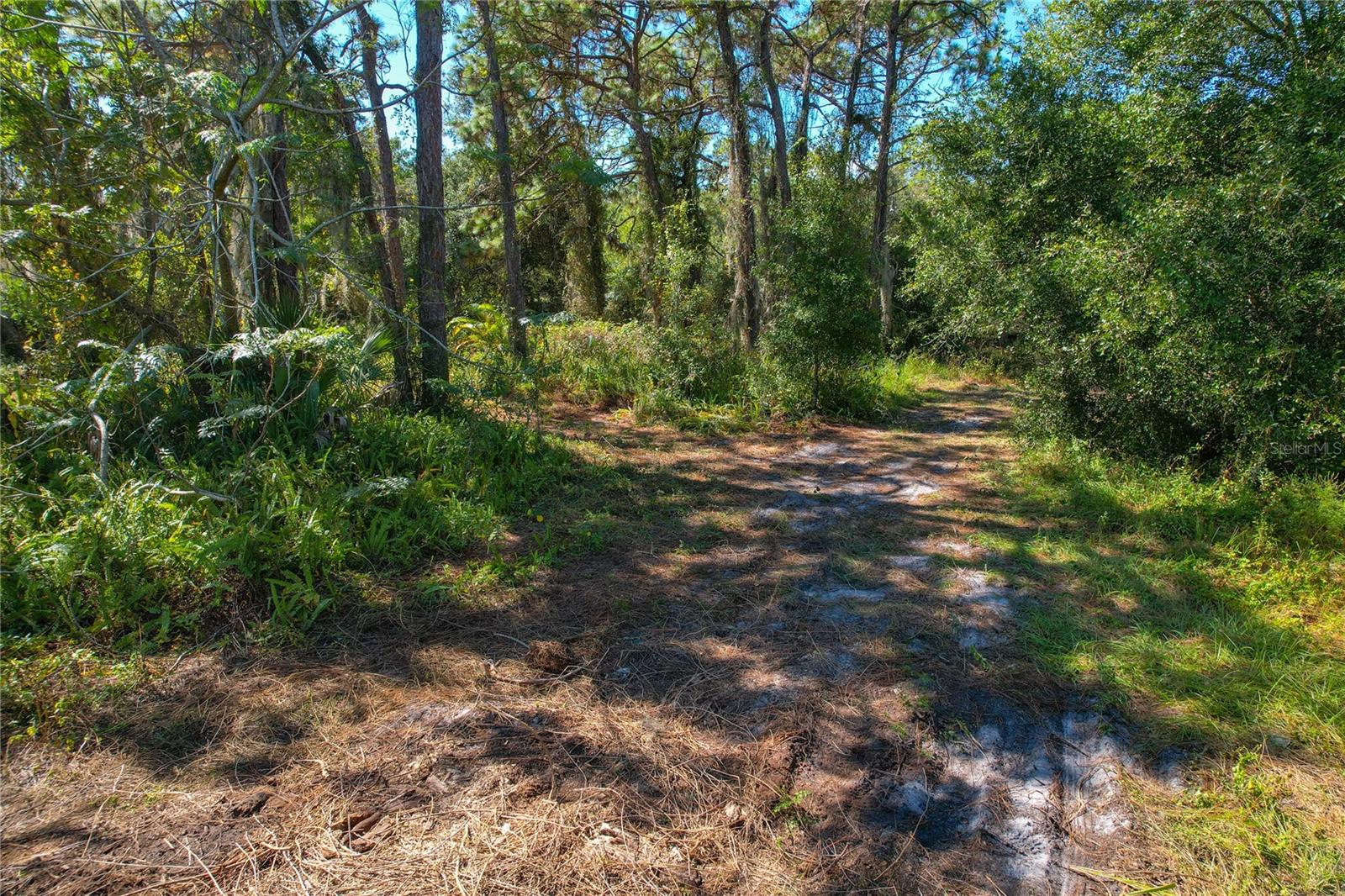 Image 18 of 18 For 1320 Jam Lane