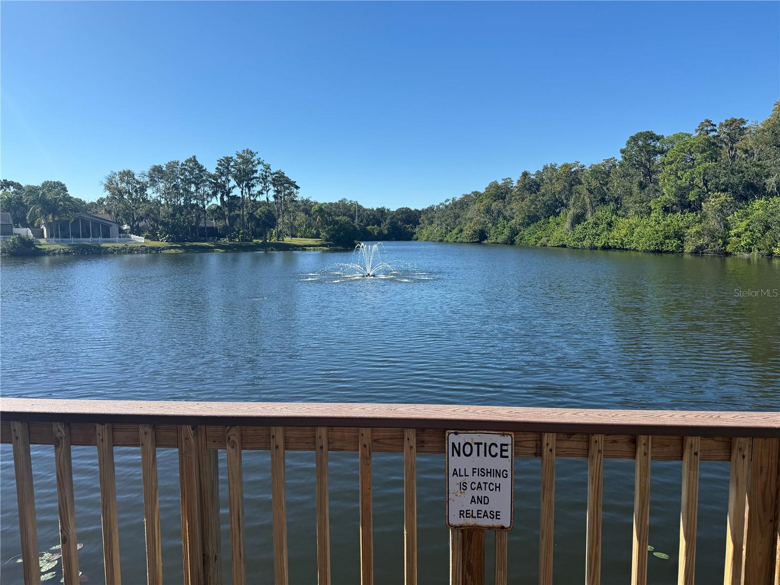 Image 46 of 46 For 525 Lakeview Drive