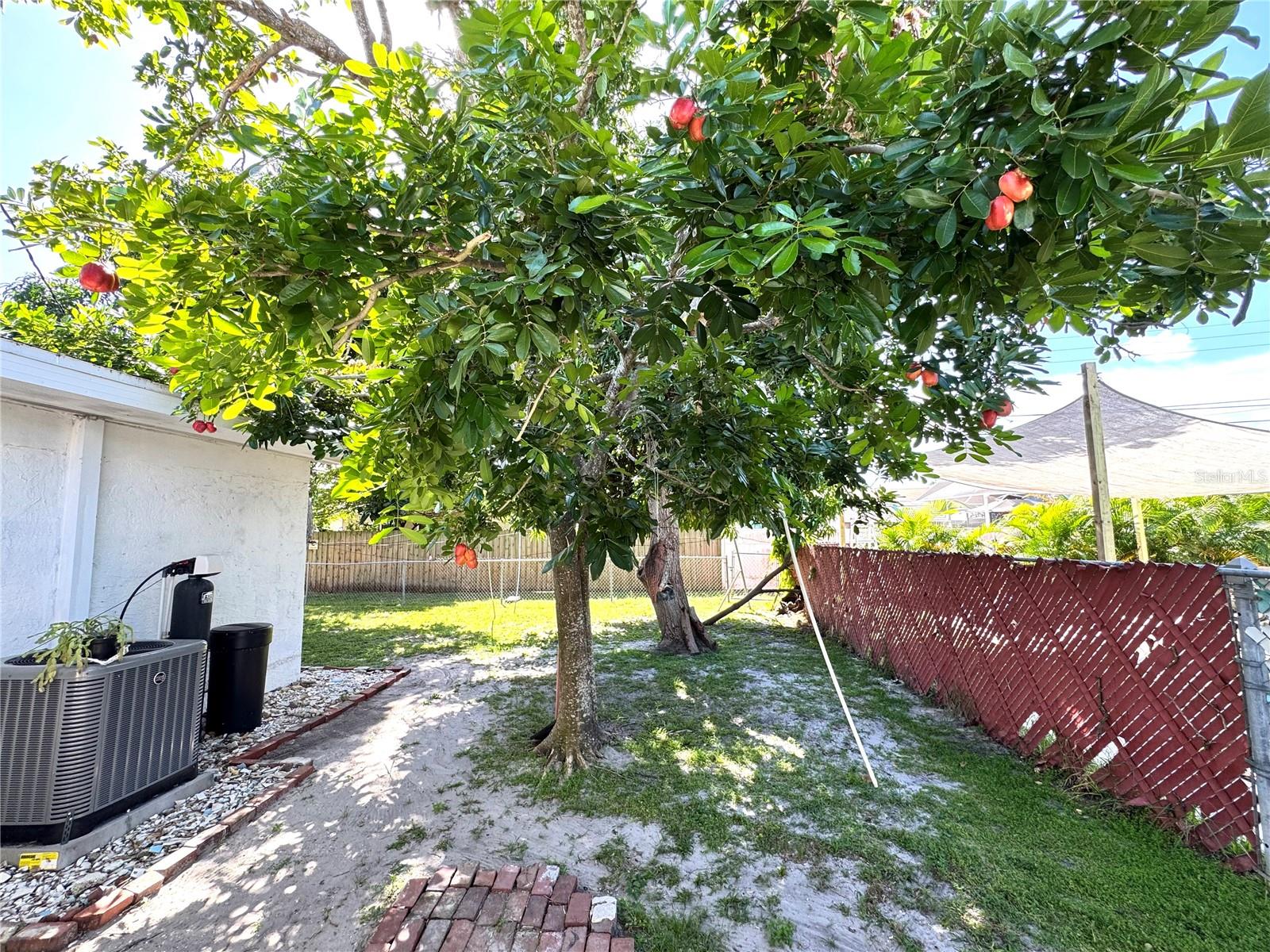 Image 20 of 25 For 5210 Jersey Avenue S