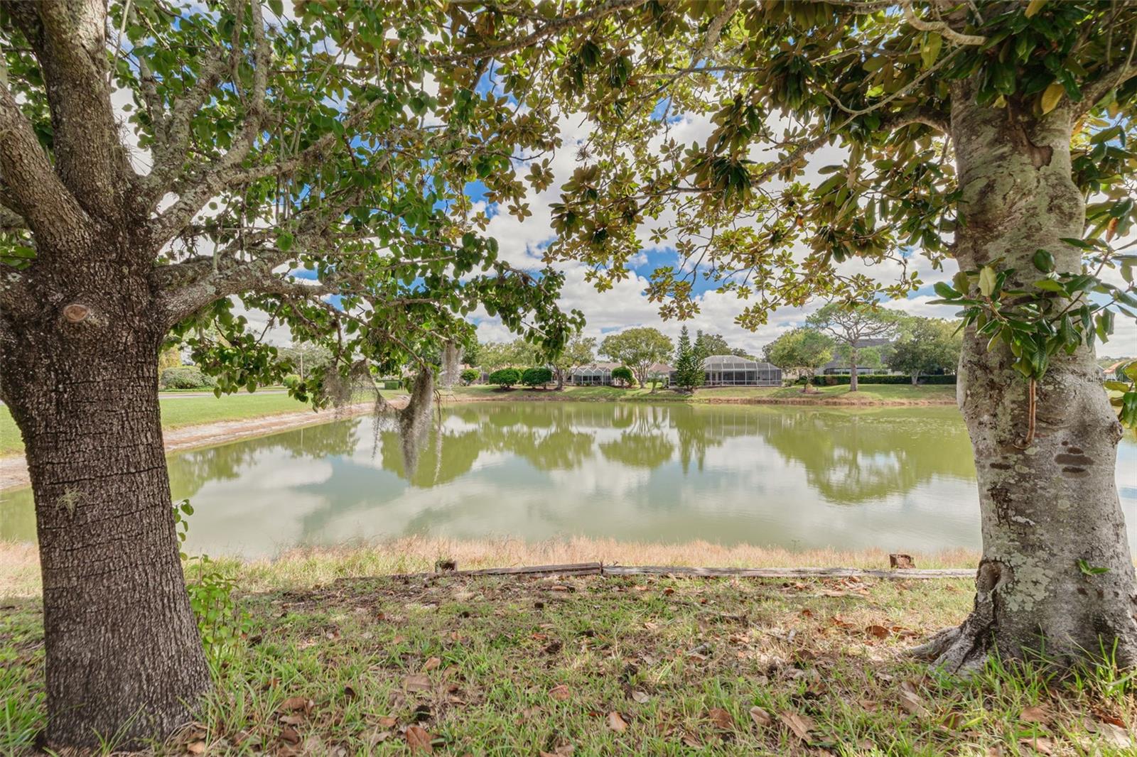 Image 38 of 47 For 10084 Twelve Oaks Court