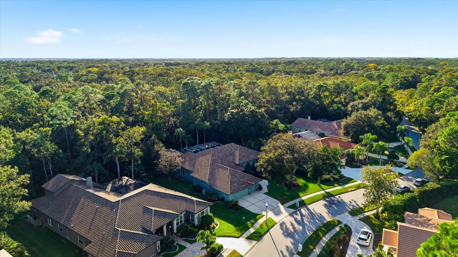 Image 68 of 80 For 4954 Turtle Creek Trail