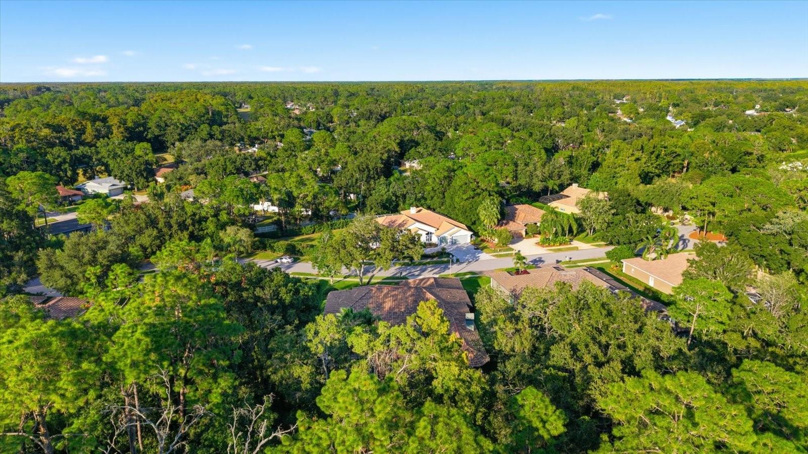 Image 70 of 80 For 4954 Turtle Creek Trail