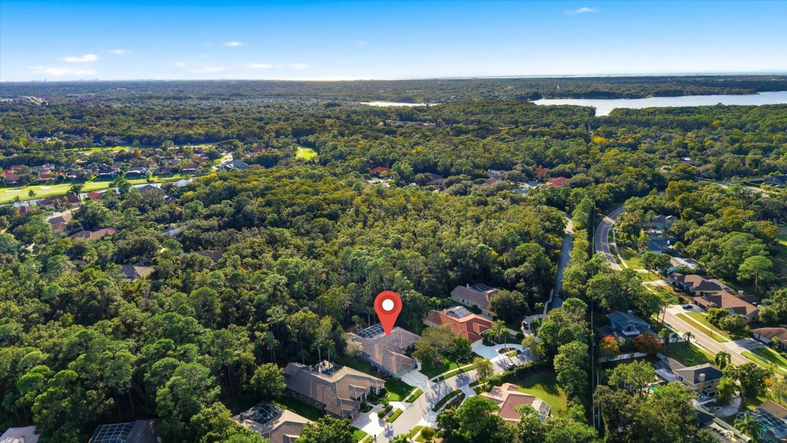 Image 74 of 80 For 4954 Turtle Creek Trail