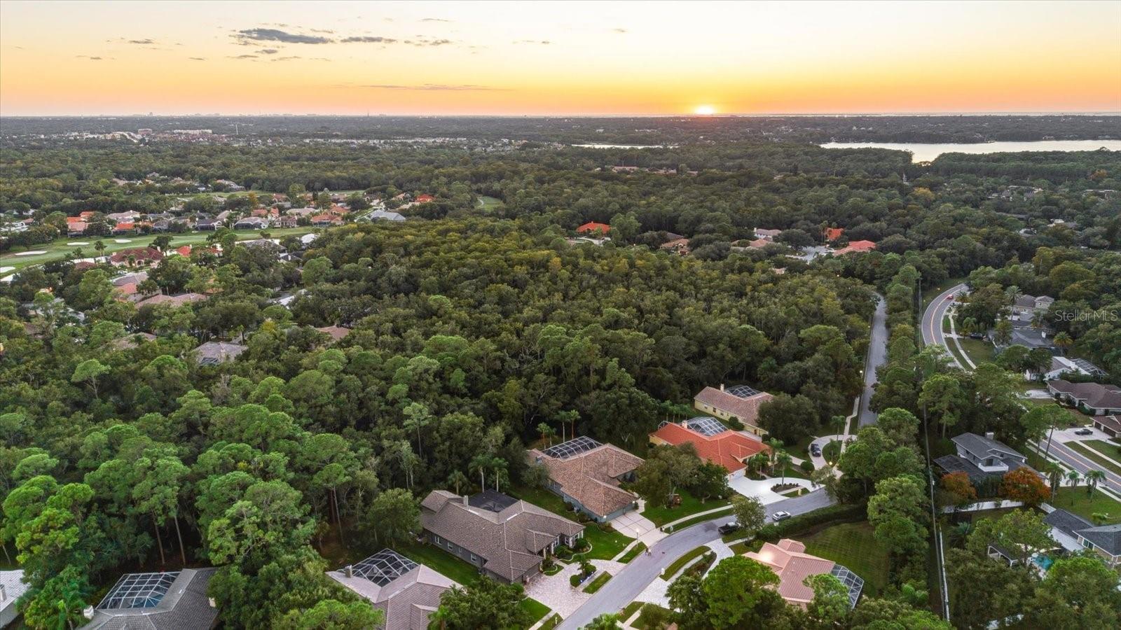 Image 78 of 80 For 4954 Turtle Creek Trail